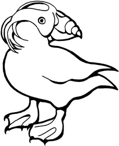 Tufted Puffin Turns Around  Coloring Page